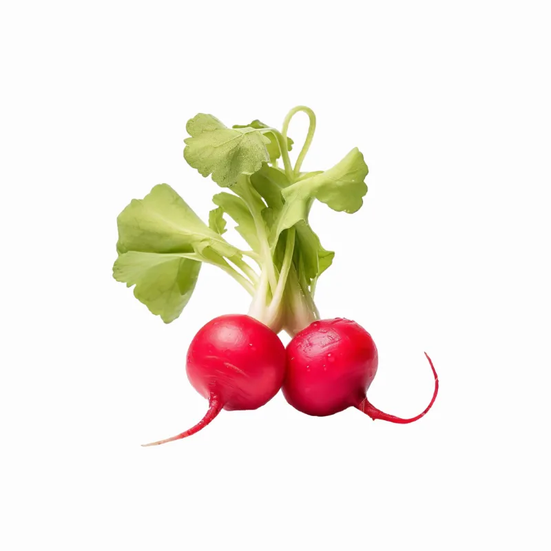 Imagen ilustrativa del producto