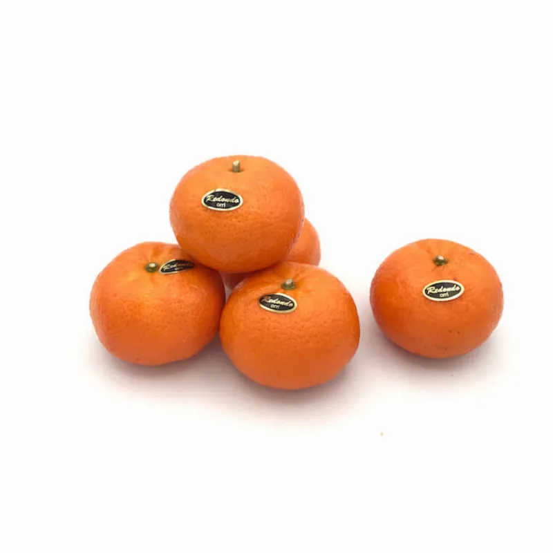 Imagen ilustrativa del producto