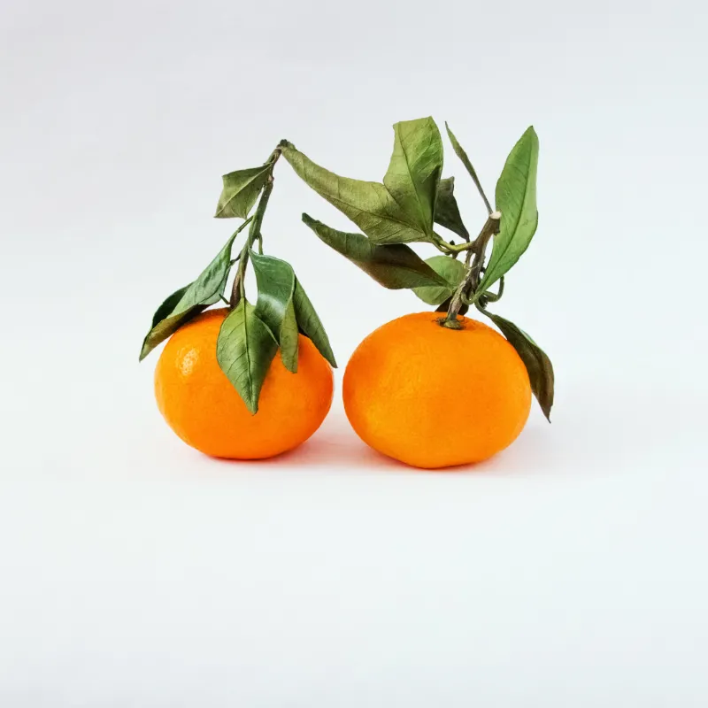 Imagen ilustrativa del producto