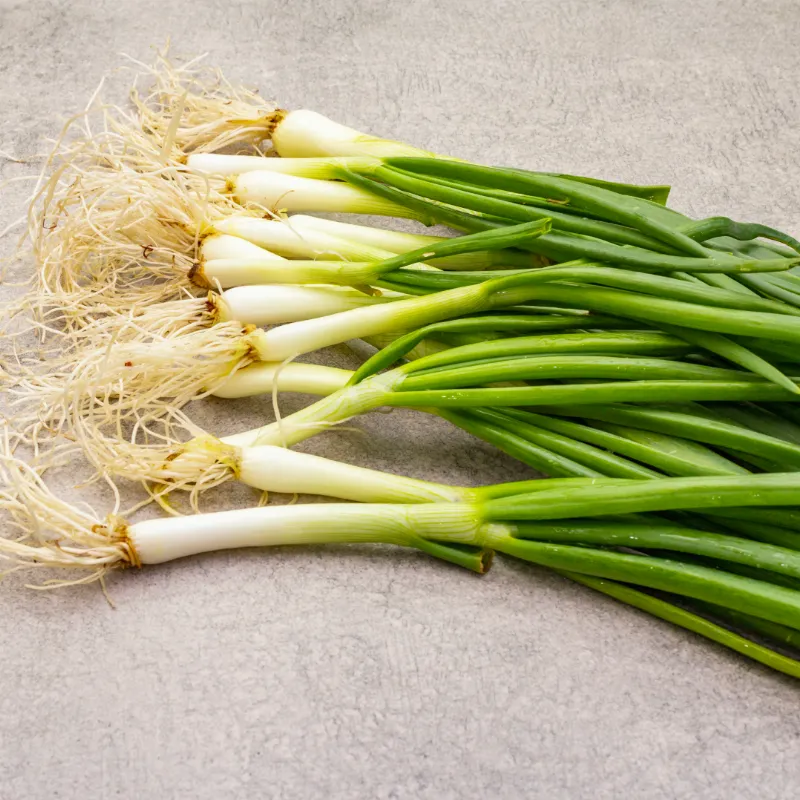 Imagen ilustrativa del producto